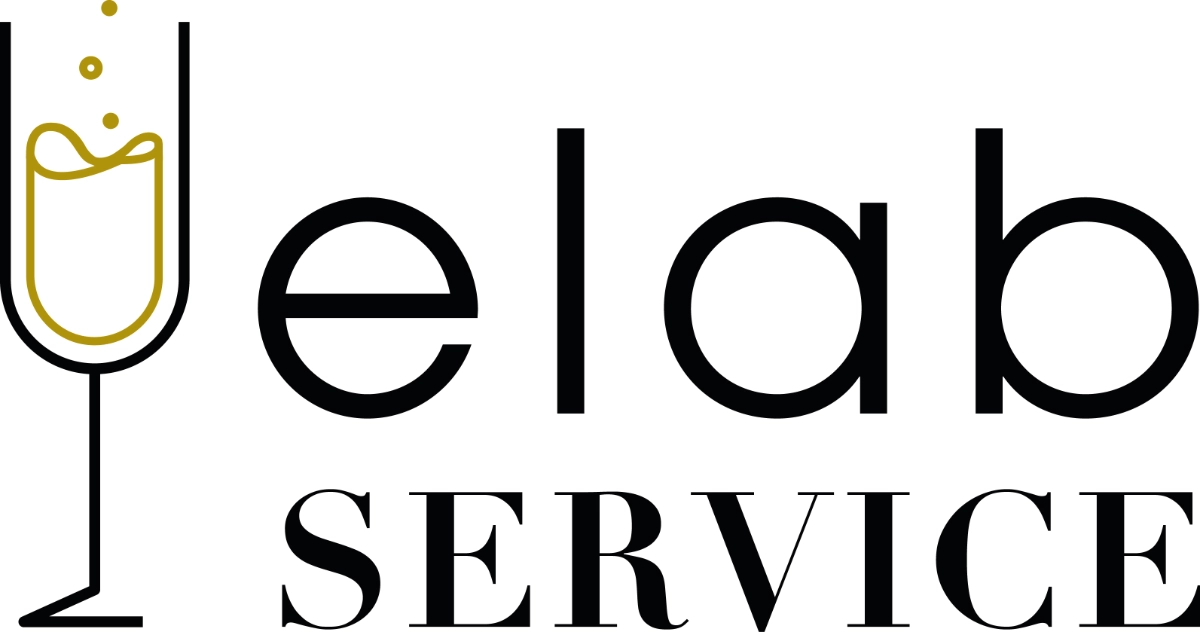 logo Elab Service